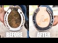 From Start to Finish | Satisfying Hoof Restoration