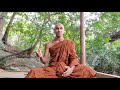 the forest monk s life in sri lanka 2021 10 05 bhante joe