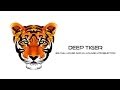 Comunication - Jazzmake - DEEP TIGER - 65 chill house and nu-lounge hits selection