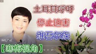 190211-1【真实的新疆】【百年大计 ： 红旗河】【寒梅视角】