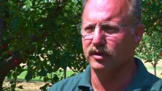 Northwest Michigan Horticultural Research Center: An overview