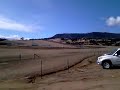 baskerville raceway tasmania