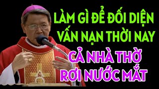 PHẢI LÀM GÌ ĐỂ ĐỐI DIỆN VẤN NẠN THỜI NAY , CẢ NHÀ THỜ RƠI NƯỚC MẮT | ĐỨC CHA KHẢM GIẢNG MỚI NHẤT