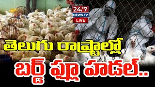 🔴LIVE : చికెన్ తినకండి | Bird Flu Virus Effect on AP and Telangana | Koluguri 24/7 News TV