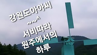 #강원도아가씨  #조명섭 #강원도특별자치도출범