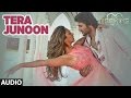 Tera Junoon Full Audio Song | Machine | Jubin Nautiyal |Mustafa & Kiara Advani |T-Series