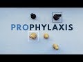 Prophylaxis | Chess Middlegames