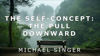 Michael Singer - The Self Concept - The Pull Downward