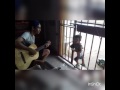 Menino de 5 anos mostra talento ao cantar  musica de fernandinho galileu vale apena assistir