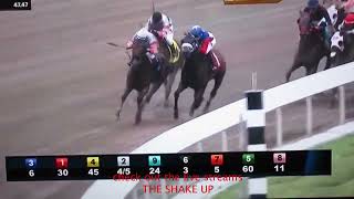 The Shake Up wins a huge horse racing bet