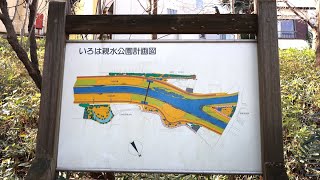 いろは親水公園 志木市本町 - Vlog 2021.3.16 Tue