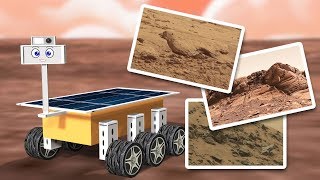 Maps And Globes For Kids Noodle Kidz Educational Video Videos For Kids