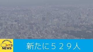 ２２日 北海道内新規感染５２９人…札幌市内４小学校で学級閉鎖