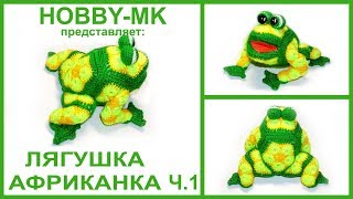 Лягушка африканский цветок ч.1 (авторское видео)