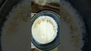 নারকেলের ক্ষীর মাত্র 3 টি উপকরণ দিয়ে 😋 #short #coconut #kheerrecipe #viral