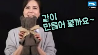 [핫클립] 수건과 고무줄 3개로 곰 인형 만드는 방법! / YTN 사이언스