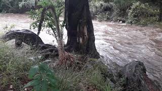 Naro Moru River Lodge Environment