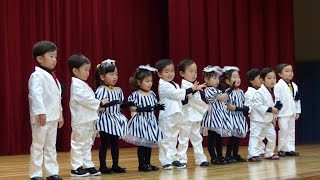 おゆうぎ会・愛媛星岡幼稚園（日曜日）