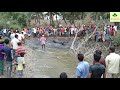 মহিষের লড়াই পানিতে ভয়ংকর মহিষের লড়াই amazing buffalo s fight in water buffalo fight part 2