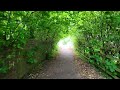 the kenilworth greenway dissused railway walk next to hs2 4k part 1