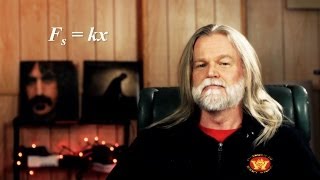 Hookes Law lab instructions