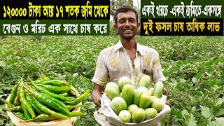 বেগুন চাষ এর সাথে মরিচ চাষ করে ১২০০০০ টাকা আয় ১৭ শতক জমিতে - চাষ পদ্ধতি ও আয় ব্যয় - সবজি চাষ