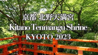 Fresh green of Kitano Tenmangu Shrine in Kyoto 2023