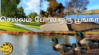 A beautiful park in America.  மனதை கவரும் அழகான பூங்கா.