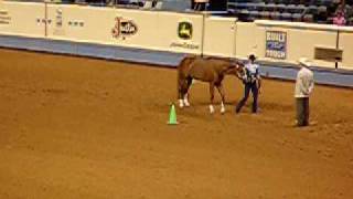 Marissa Dalton, Showmanship, Youth World 09