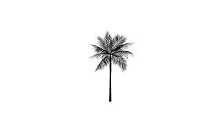 Chill Guitar Beat | "Palmtrees" (Prod  Pacific) Khalid Type Beat