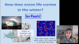 Water's Unique Properties