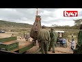 elephants captured by kws rangers in naivasha returned to the wild