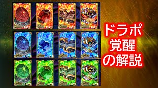 【結月ゆかり音声】覚醒の解説【ドラゴンポーカー・ドラポ】