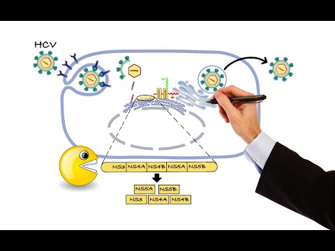 What is an example of a antiviral?