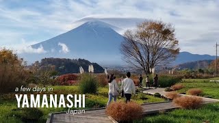 staying in Yamanashi before heading to Tokyo 🇯🇵