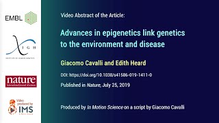 Advances in epigenetics link genetics to the environment and disease