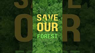 Save Forest #saveearth #saveplanet #plants #tree #emission #forest #short #shorts #shortvideo