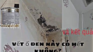 Sơn sửa tường bị ố, mốc  như thế nào hiệu quả, nhanh chóng? Đóng hoa văn lên tường có đẹp không?