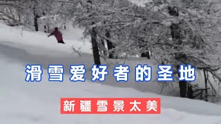 這是朋友在新疆可可托海現場拍的視頻，這雪太美了，跟大家分享