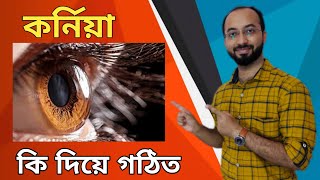 কর্নিয়া কি দিয়ে গঠিত | Layers of Cornea | Structure of an Eye | Cornea | কর্নিয়া | Eye | চোখ