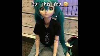 Real Miku…But the doll Miku