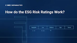 How Do the ESG Risk Ratings Work?