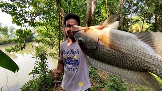 বড়শি দিয়ে মাছ ধরার অসাধারণ কৌশল দেখুন ||  Amazing Hook Fishing 🎣 Technic |