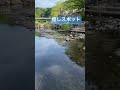 【癒し】温泉と川と夏