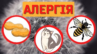 Алергія симптоми і лікування ( бджола, арахіс, пух тополі, цвіт, пил, косметика, побутова хімія )