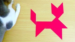 Tangram For Kids - Tangram Cat | 13 Cat Shapes | Voom Kids