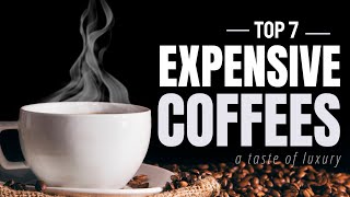 Most Expensive Coffees In The World