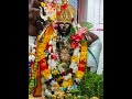 punnaichcholai kali amman whatsapp status tamil