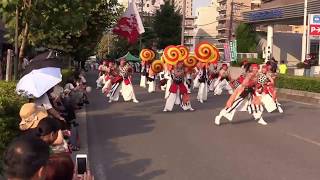 彩夏祭2018　K-one動流夢　4日朝霞台2本目