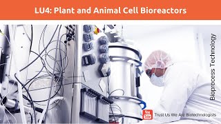 Plant and Animal Cell Bioreactor